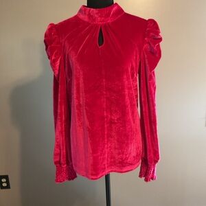 Elegant Pink Velvet Women's Top